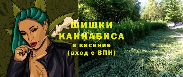 apvp Ельня