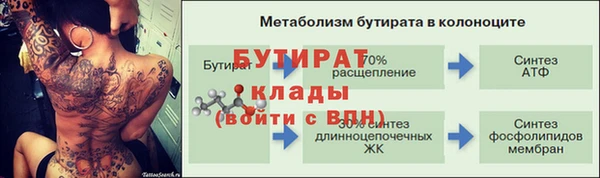 apvp Ельня
