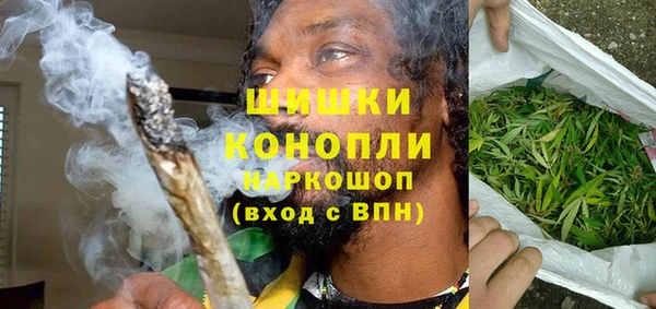 apvp Ельня