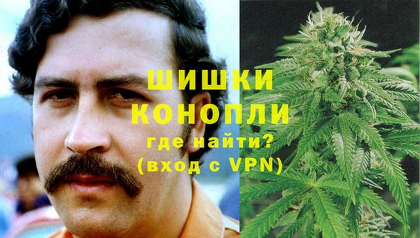 apvp Ельня