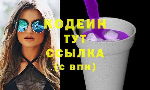 apvp Ельня