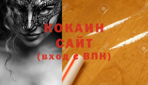 apvp Ельня