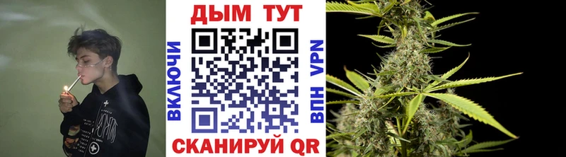 Купить где  Калининск  Канабис марихуана 